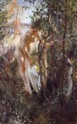 Anders Zorn Unknow work 88 oil painting artist